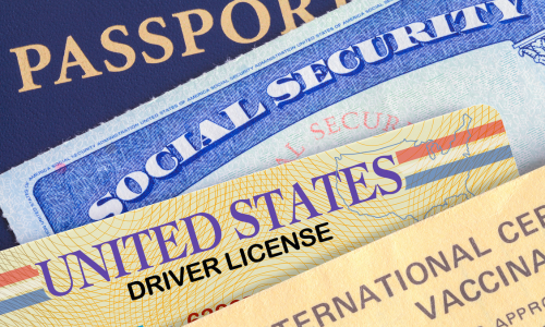 Passport, social security, drivers license cards