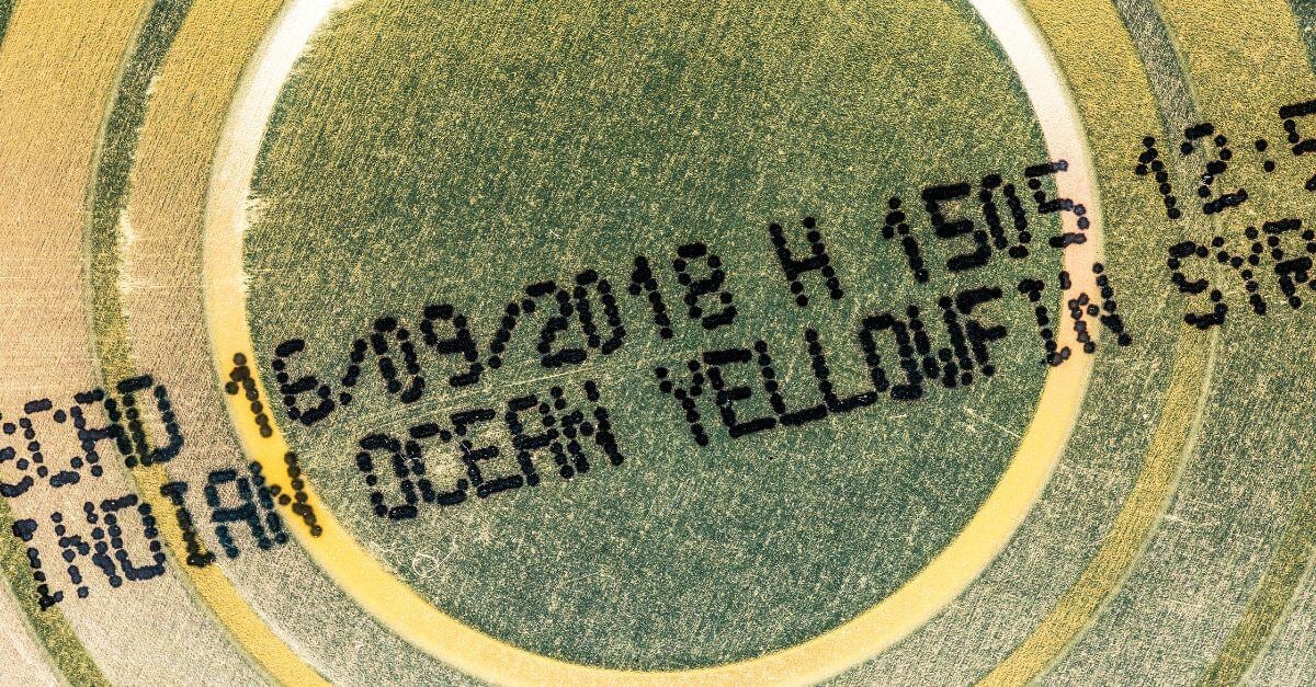 Printed expiration date 