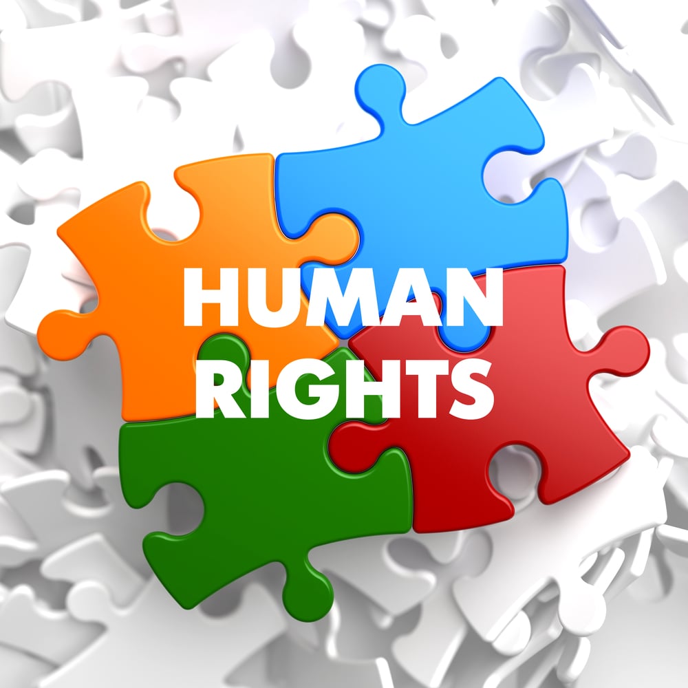 Human Rights on Multicolor Puzzle on White Background.